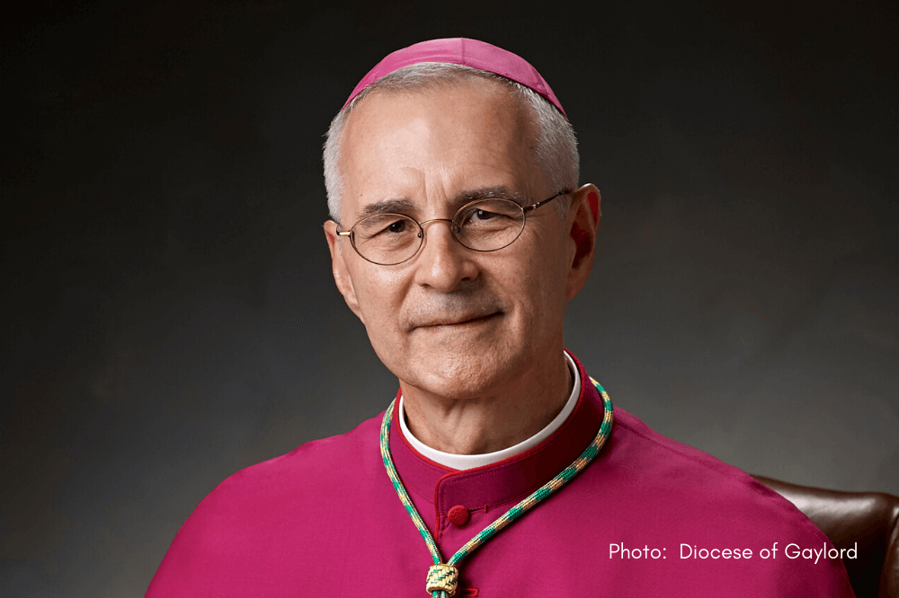 Bishop Steven J. Raica, Diocese of Gaylord