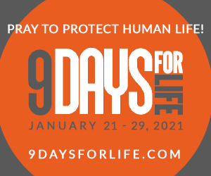 9 Days for Life novena graphic 2021