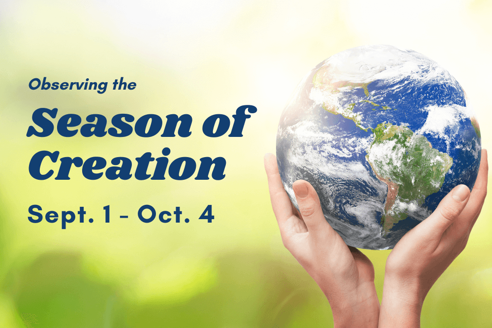 Season of Creation featured image